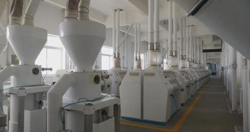 鄉村振興進行時 多措并舉促就業，精準服務暖民心，文藝創作煥活力